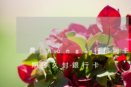 農(nóng)行信用卡逾期幾個月封卡 逾期多久封銀行卡