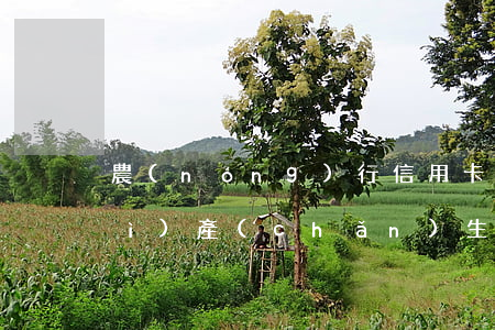 農(nóng)行信用卡逾期幾天會(huì)產(chǎn)生利息-農(nóng)業(yè)銀行信用卡逾期一天有沒有影響?
