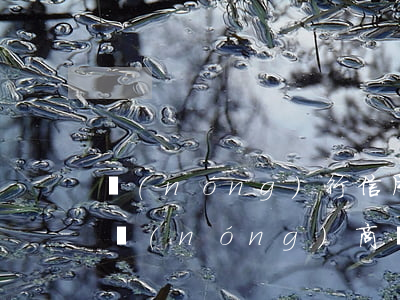 農(nóng)行信用卡逾期復(fù)利(農(nóng)商銀行信用卡逾期)