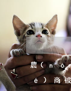 農(nóng)行信用卡逾期怎么協(xié)商(被農(nóng)行信用卡逾期起訴就沒辦法協(xié)商了嗎)