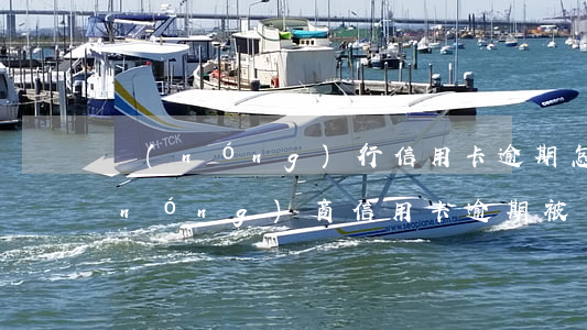 農(nóng)行信用卡逾期怎么解凍(農(nóng)商信用卡逾期被凍結(jié))