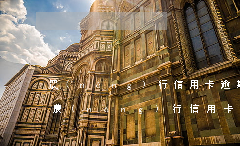 農(nóng)行信用卡逾期怎么解決(我欠農(nóng)行信用卡已經(jīng)逾期被起訴怎么辦)