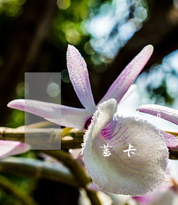 農(nóng)行信用卡逾期扣儲(chǔ)蓄卡賬戶-農(nóng)行信用卡逾期扣儲(chǔ)蓄卡賬戶費(fèi)