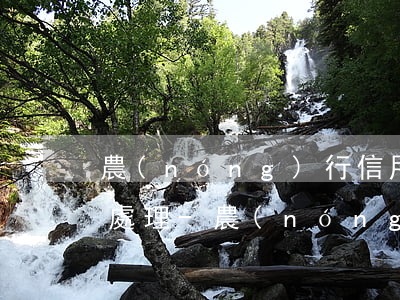 農(nóng)行信用卡逾期收到催款怎么處理-農(nóng)行信用卡逾期收到催款怎么處理呢