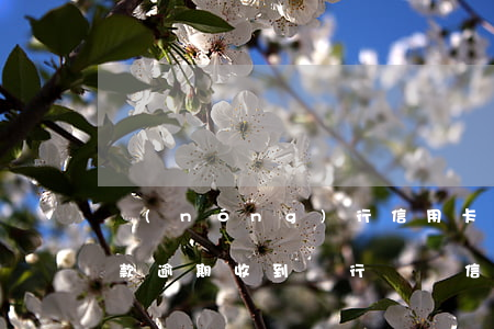 農(nóng)行信用卡逾期收到掛號信(貸款逾期收到銀行掛號信)