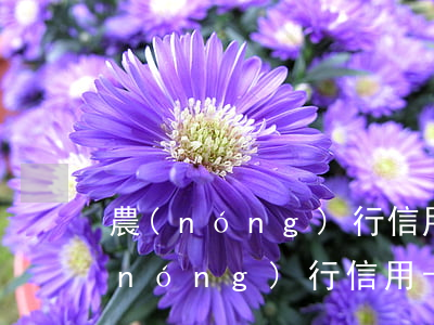 農(nóng)行信用卡逾期最新政策(農(nóng)行信用卡逾期最新政策)
