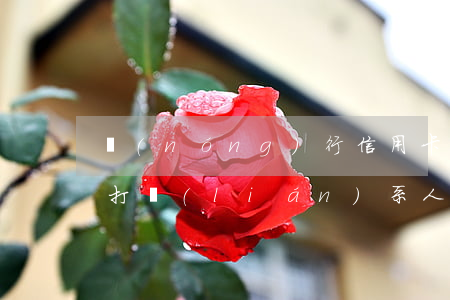 農(nóng)行信用卡逾期會(huì)打聯(lián)系人電話么-農(nóng)行信用卡逾期會(huì)打聯(lián)系人電話么嗎