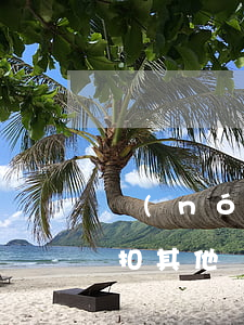 農(nóng)行信用卡逾期會(huì)扣其他銀行的嗎-農(nóng)行信用卡逾期會(huì)扣其他銀行的嗎怎么辦
