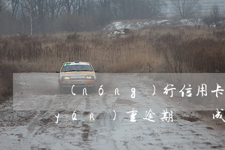 農(nóng)行信用卡逾期會黑戶嗎(嚴(yán)重逾期會變成黑戶嗎)
