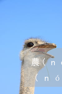 農(nóng)行信用卡逾期有不良記錄(農(nóng)商行信用卡逾期兩天會有不良記錄嗎)
