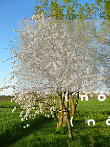 農(nóng)行信用卡逾期每天都在還款(農(nóng)商行信用卡逾期一天有什么影響)