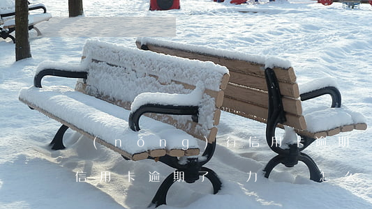農(nóng)行信用卡逾期無力償還(銀行信用卡逾期了無力償還怎么辦)