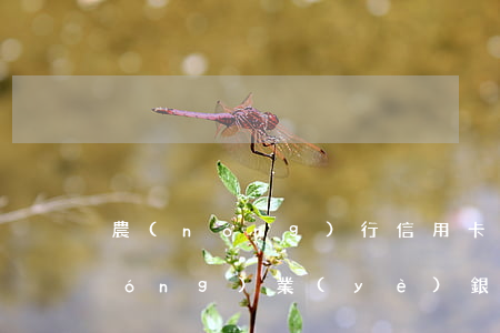 農(nóng)行信用卡逾期的多嗎(農(nóng)業(yè)銀行的信用卡逾期幾個(gè)月沒還,銀行會(huì)上門嗎)