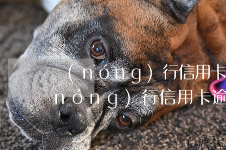 農(nóng)行信用卡逾期短信文本(農(nóng)行信用卡逾期短信文本)