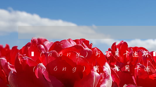 農(nóng)行信用卡逾期罰息新政策(農(nóng)商行信用卡逾期7天滯納金多少)