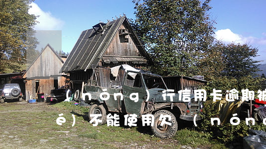 農(nóng)行信用卡逾期被凍結(jié)不能使用(欠農(nóng)業(yè)銀行信用卡會凍結(jié)儲蓄賬戶嗎)