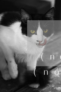 農(nóng)行信用卡逾期被列為限高(農(nóng)行信用卡 超限)