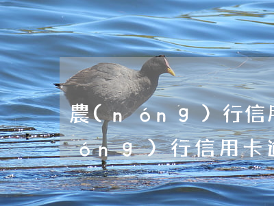 農(nóng)行信用卡逾期被報警 農(nóng)行信用卡逾期被報警了