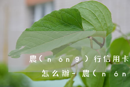 農(nóng)行信用卡逾期被鎖了只能銷戶怎么辦-農(nóng)行信用卡逾期被鎖了只能銷戶怎么辦呢