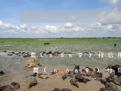 農(nóng)行信用卡逾期要走訴訟流程(農(nóng)行信用卡 逾期一天)
