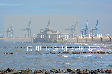農(nóng)行信用卡逾期證明圖片(銀行信用卡逾期證明怎么寫)