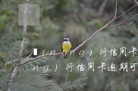 農(nóng)行信用卡逾期，警惕！農(nóng)行信用卡逾期可能帶來的嚴(yán)重后果