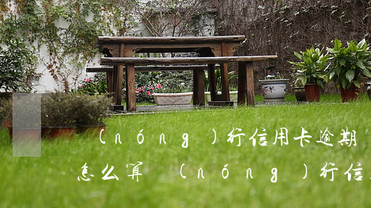 農(nóng)行信用卡逾期費(fèi)怎么算(農(nóng)行信用卡逾期一小時)