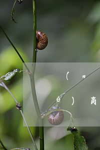 農(nóng)行信用卡逾期起訴協(xié)商(農(nóng)商銀行貸款逾期被起訴能怎樣協(xié)商)