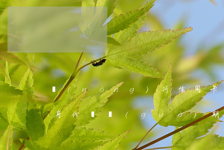 農(nóng)行信用卡逾期身份證能用嗎(身份證過(guò)期農(nóng)行卡還能用嗎)