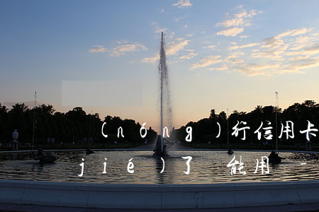 農(nóng)行信用卡逾期還款被凍結(jié)了，還能用嗎-農(nóng)行信用卡逾期還款被凍結(jié)了,還能用嗎