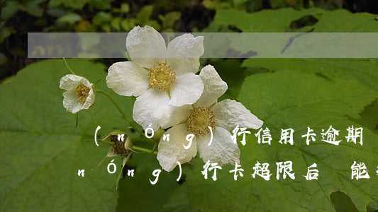 農(nóng)行信用卡逾期還能提額(農(nóng)行卡超限后還能提額嗎)