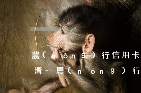 農(nóng)行信用卡逾期還錢怎樣查還清-農(nóng)行信用卡逾期還錢怎樣查還清記錄