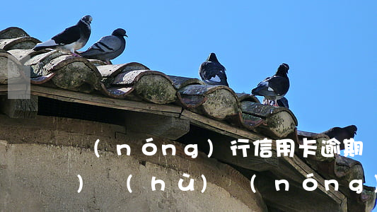 農(nóng)行信用卡逾期銷(xiāo)戶(hù)(農(nóng)行的信用卡如何注銷(xiāo))