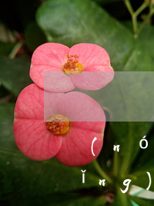 農(nóng)行信用卡逾期面簽(申請(qǐng)了農(nóng)業(yè)銀行信用卡進(jìn)度顯示待面簽是什么意思)