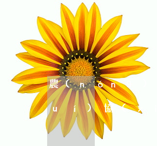 農(nóng)行信用卡還不上和誰(shuí)協(xié)商-農(nóng)行信用卡還不上和誰(shuí)協(xié)商解決