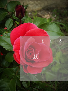 農(nóng)行信用卡還不上能還最低還款嗎-農(nóng)業(yè)銀行還不了信用卡