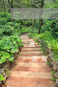 農(nóng)行信用卡還最低額度算不算逾期-農(nóng)行信用卡還最低額度算不算逾期了