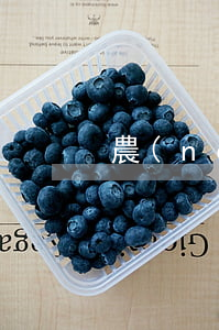 農(nóng)行信用卡還款逾期