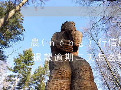 農(nóng)行信用卡還款逾期二天 銀行還款逾期二天怎么辦