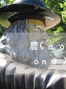 農(nóng)行信用卡首次逾期-農(nóng)行信用卡逾期幾天算逾期