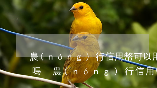 農(nóng)行信用幣可以用支付寶還款嗎-農(nóng)行信用幣可以用支付寶還款嗎安全嗎