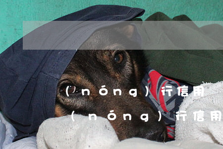農(nóng)行信用幣逾期影響信用卡嗎(農(nóng)行信用幣逾期影響信用卡嗎上征信嗎)