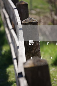農(nóng)行信譽(yù)卡逾期 農(nóng)業(yè)銀行欠信用卡7000
