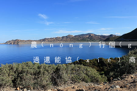 農(nóng)行個(gè)性化分期沒通過還能協(xié)商嗎-農(nóng)行個(gè)性化分期沒通過還能協(xié)商嗎
