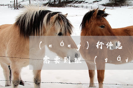 農(nóng)行停息掛賬有用嗎-停息掛賬需要到柜臺(tái)辦理嗎