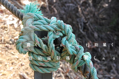 農(nóng)行助業(yè)快e貸可以提前還款嗎-農(nóng)行助業(yè)快e貸可以提前還款嗎安全嗎