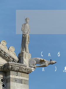 農(nóng)行卡掛失微粒貸的錢(qián)怎么還款-農(nóng)行卡掛失微粒貸的錢(qián)怎么還款啊