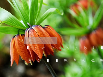農(nóng)行小額貸款(農(nóng)行小額貸款多久放款)