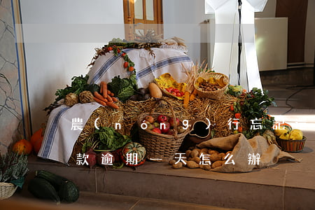 農(nóng)行忘記還款逾期一天(銀行還款逾期一天怎么辦)