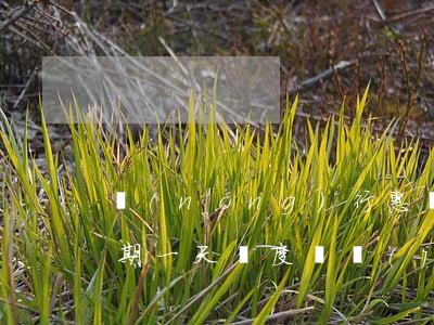 農(nóng)行惠農(nóng)e貸逾期一天額度凍結(jié)-農(nóng)行惠農(nóng)e貸逾期一天額度凍結(jié)了怎么辦